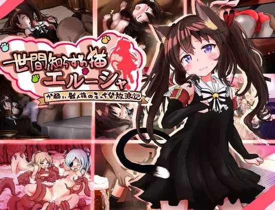 Naive Cat Elusha